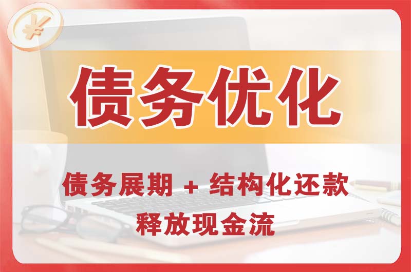 望都债务优化